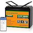 ECO-WORTHY 12V 100AH LiFePO4 Lithium Battery with Bluetooth, Low Temperature Protection, Max.1280Wh Energy, Group 24, Built-i