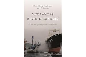 Vigilantes beyond Borders: NGOs as Enforcers of International Law