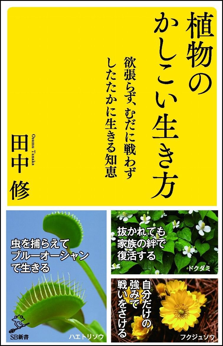 植物のかしこい生き方 欲張らず むだに戦わずしたたかに生きる知恵 Sb新書 田中 修 本 通販 Amazon