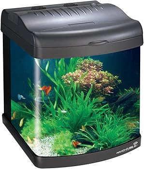 Jbj Dx 6-Gallon Nano Aquarium