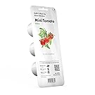 Click & Grow Mini Tomaten Nachfüllpackung 3er-Pack für deinen smarten Kräutergarten