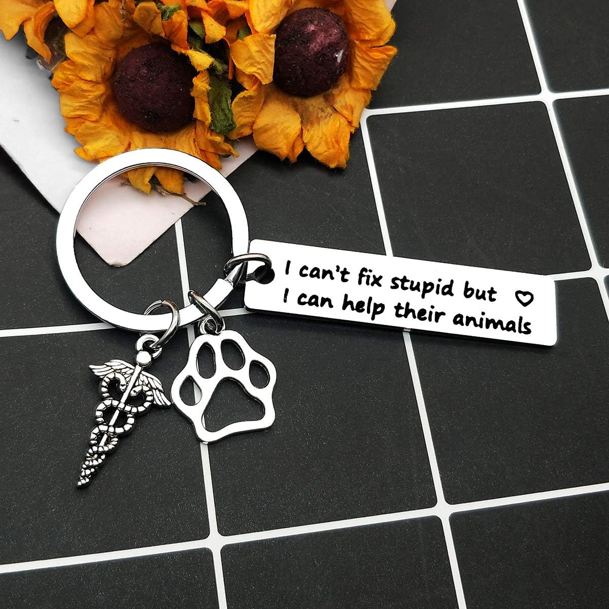 Veterinarian Keyring Birthday Gifts for Veterinarian Vet Tech Appreciation Keyring Gifts I Can Help Their Animals Keychain Veterinary Technician Gifts Veterinarian Medicine Graduation Gift - Image 3
