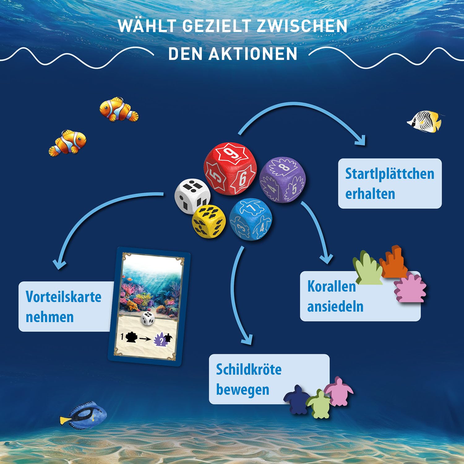 KOSMOS 683467 Australis - Im SOG der Strömung, Brettspiel für die Familie, für 2-4 Spielerinnen und Spieler ab 10 Jahre, Gewinnt de Würfelwettstreit und Plant strategisch 6