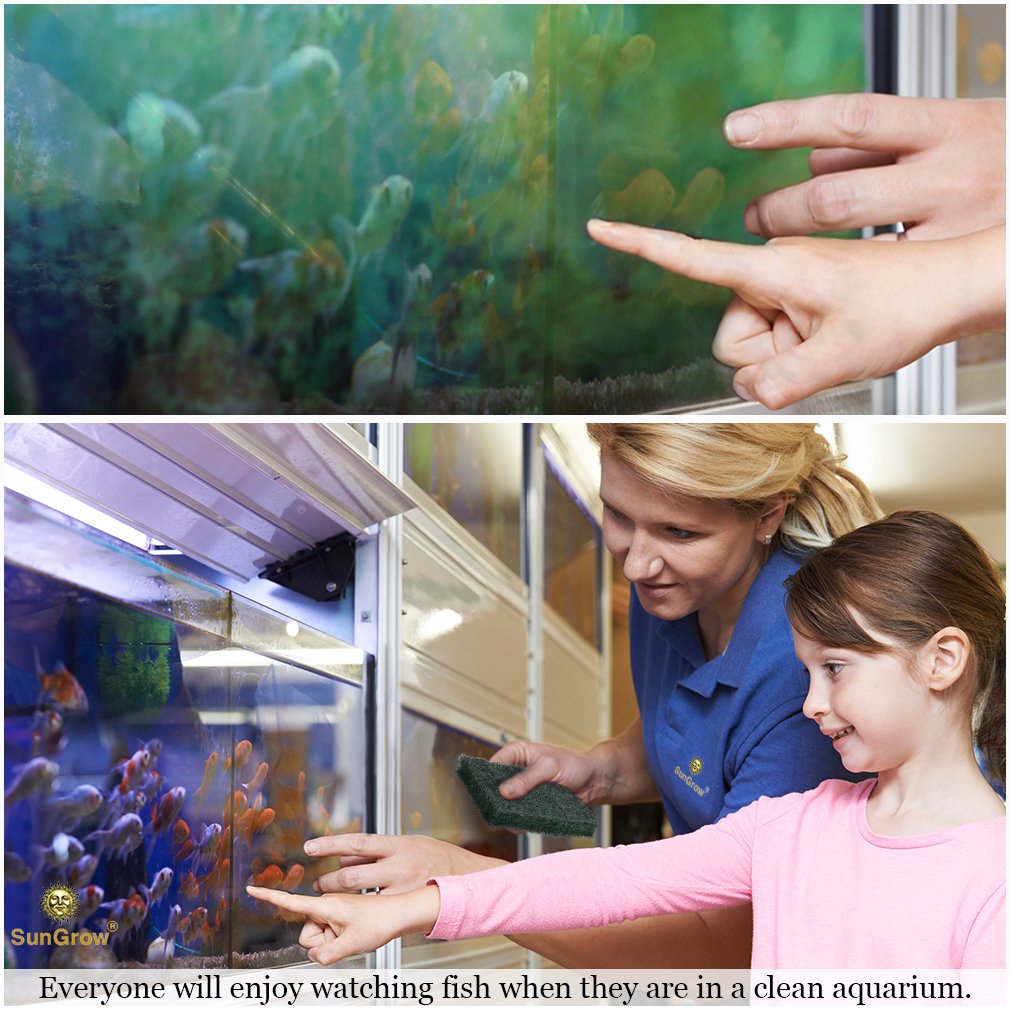 3 Algae Scrub Pads by SunGrow -- Remove Stubborn Algae from nooks and crannies easily - Saves time - Creates A Sparkling clear aquarium - Long-lasting Pads