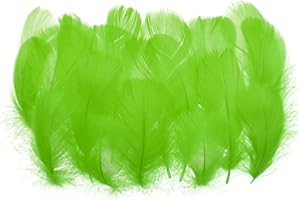 PATIKIL Lot de 300 plumes d'oie colorées - 7,6 à 12,7 cm - Pour loisirs créatifs, décoration de maison, de fête - Attrape-rêv