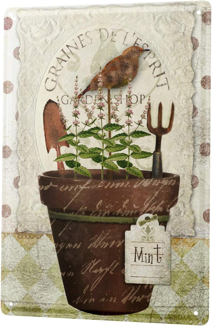 Best 12 Inch Garden Rake