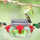 Glass Hummingbird Feeders for Outdoors Hanging, Cute Mason Jar Shape with 4 Silicone Flower Feeding Ports, Top Fill Leak Proof Easy to Clean and Refill, Humming Bird Feeder for Outside Garden