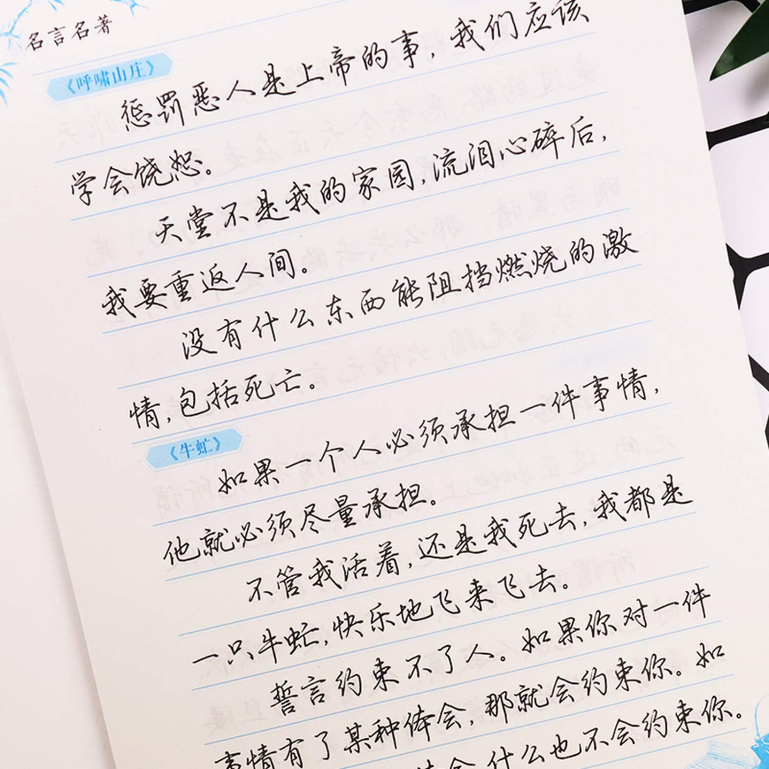 墨点行楷字帖大学生练字帖成人女生字体名著名言硬笔书法练字本成人行楷硬笔书法字帖练字本 荆霄鹏 Amazon De Books