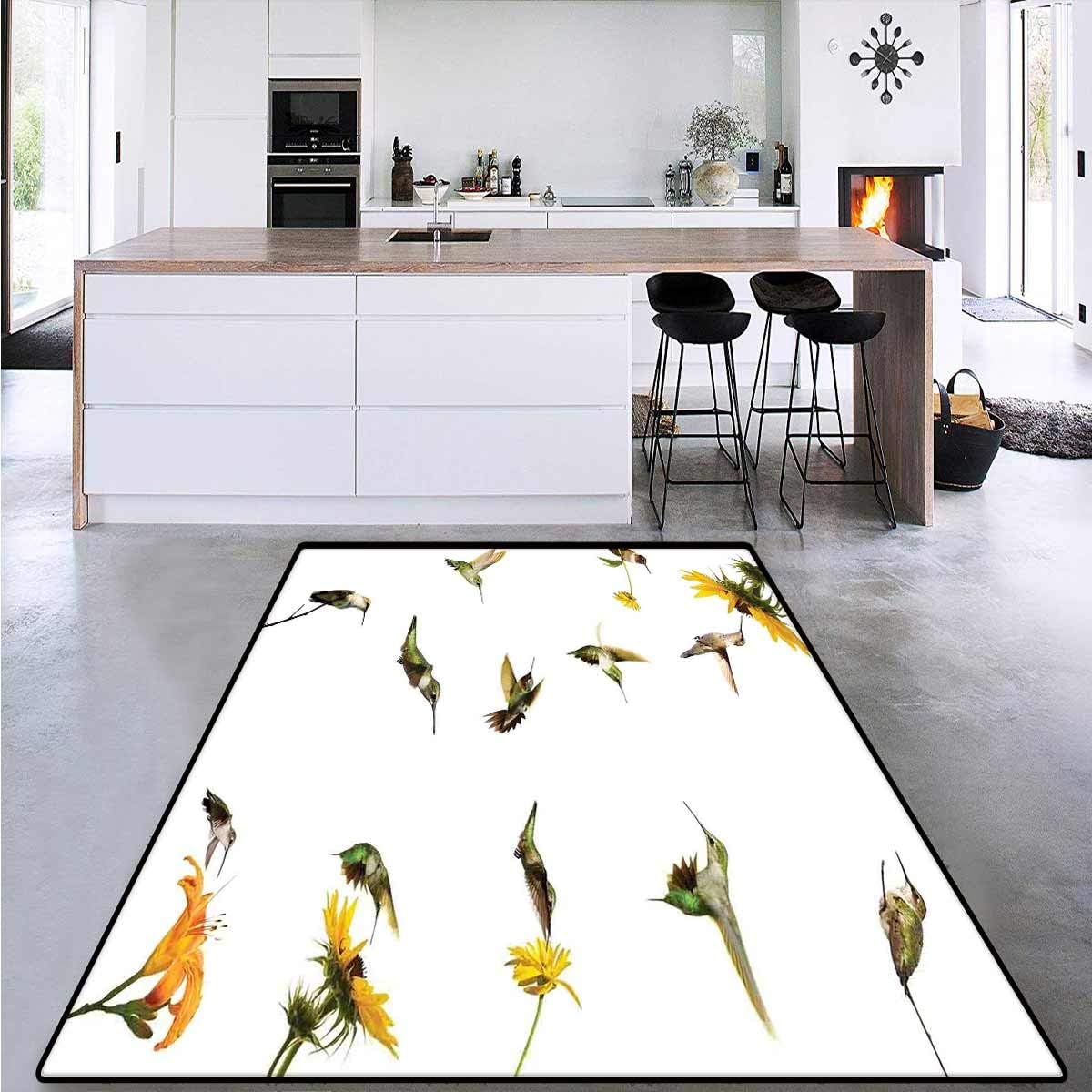 Hummingbirds Decor, Anti-Skid Rugs, Collection of Hummingbirds in Motion and at Rest Sunflowers Summer Fun, Area Rug Dorm 5' x 7'