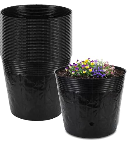 potting mix for jade plant Cactus & Succulent Soil