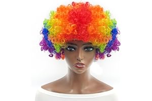 Everfun Fluffy Afro Short Curly Wig for Women Men Cosplay Anime Party Christmas Halloween Fancy Funny Clown Wigs Synthetic Hair (Rainbow)