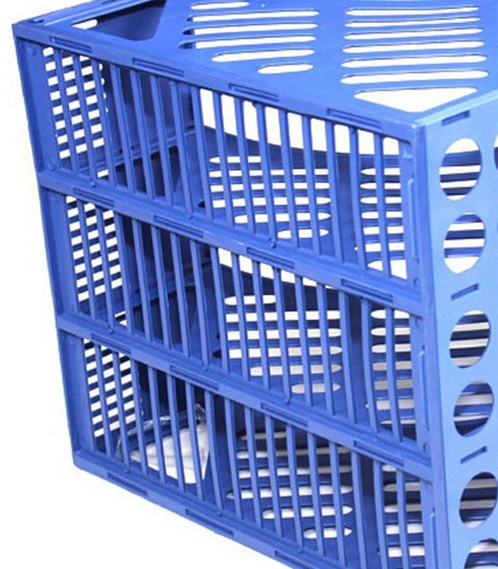 weimay escritorio archivos accesorio de malla triple Marcos de plástico