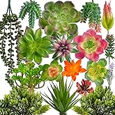 COTSEN 18 Pack Artificial Succulents Realistic Textured Fake Succulents Unpotted Artificial Cactus Plant Suitable for Garden 