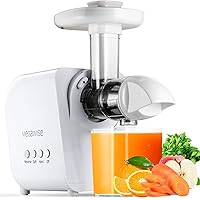 MEGAWISE Slow Masticating Juicer, 9 Segment Spiral 2 Speed Modes Juicer Machines for Vegetables and Fruits, Cold Press…
