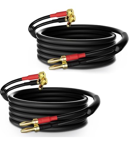 Amazon.com: Chord Odyssey 2 Speaker Cables - Pair - 24K Banana to