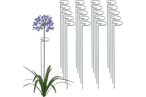 Thealyn 24 Inch 20 Packs Plant Support Stakes, Garden Single stemmed Plant Support Hoops Plant Prop for Flowers Orchid Tomatoes Peony Lily Rose Gladiolus (24 inch)