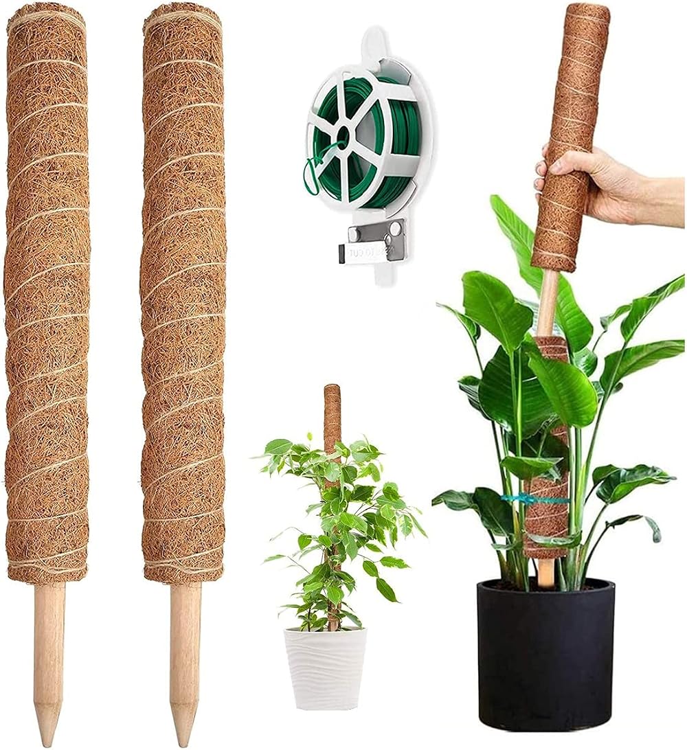 YAUNGEL Moss Pole 2 Pcs 41CM Coir Totem Pole with 20M Twist Ties