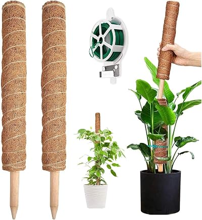 YAUNGEL Moss Pole 2 Pcs 41CM Coir Totem Pole with 20M Twist Ties