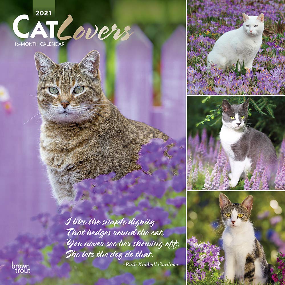 Cat Lovers 21 12 X 12 Inch Monthly Square Wall Calendar With Foil Stamped Cover Animals Domestic Cats English And Spanish Edition Browntrout Publishers Inc Browntrout Publishers Editing Team Browntrout Publishers Design Cat Lovers 21 12 X 12 Inch Monthly Square Wall Calendar With Foil Stamped Cover Animals Domestic Cats English And Spanish Edition Browntrout Publishers Inc Browntrout Publishers Editing Team Browntrout Publishers Design