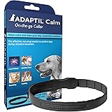 dap collar