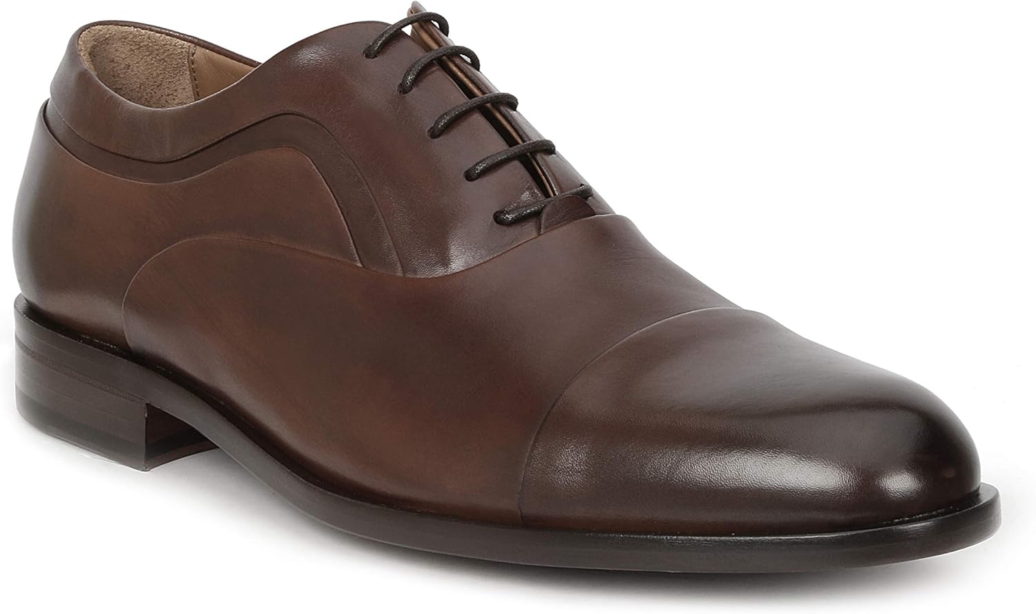 Best Bruno Magli Brown Shoes