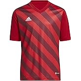 adidas Unisex-Child Entrada 22 Graphic Jersey