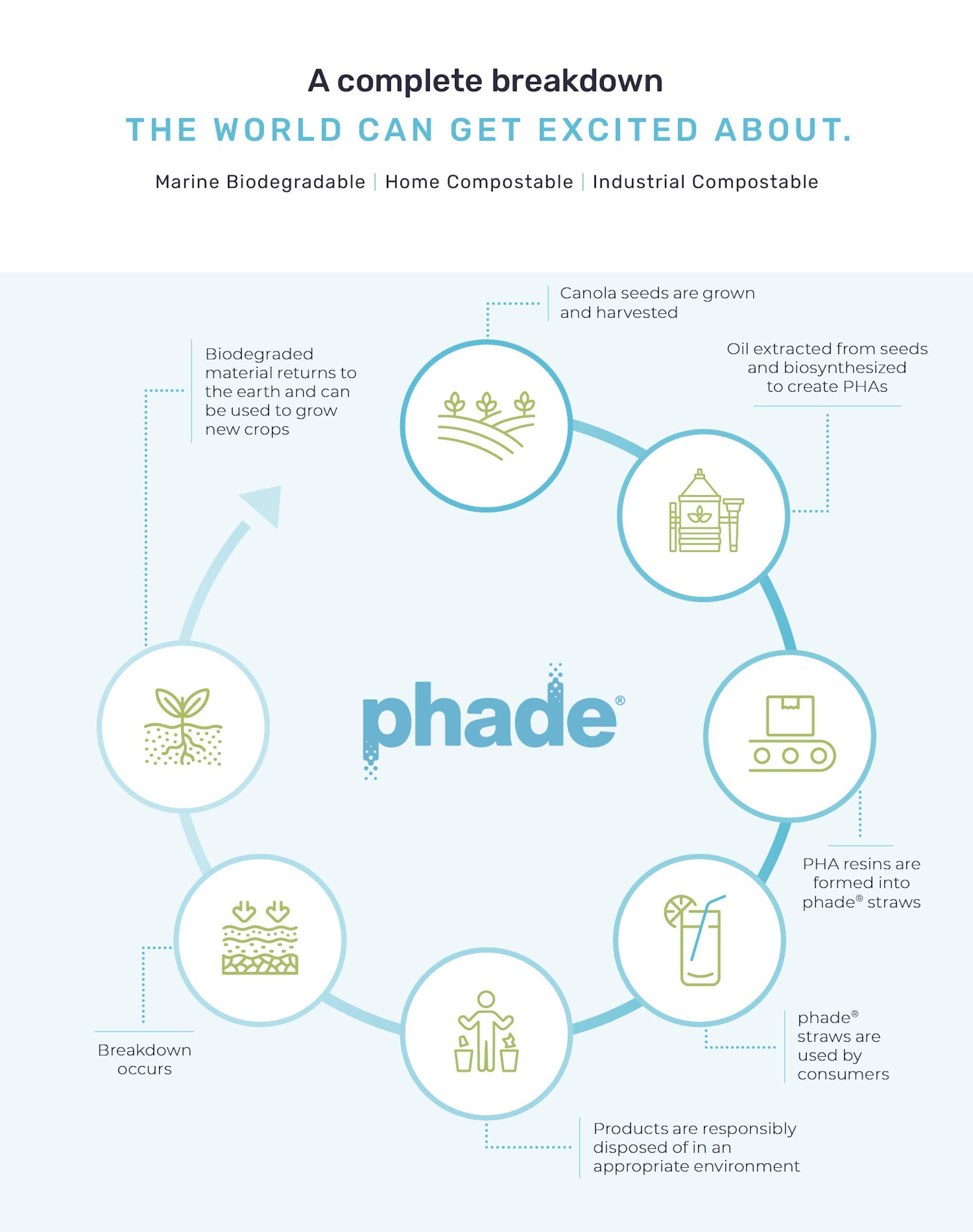 phade Eco-Friendly Cocktail Straws 1,000 Count - Sustainable Marine Biodegradable Compostable Stirrer, 1 Pack - Image 3