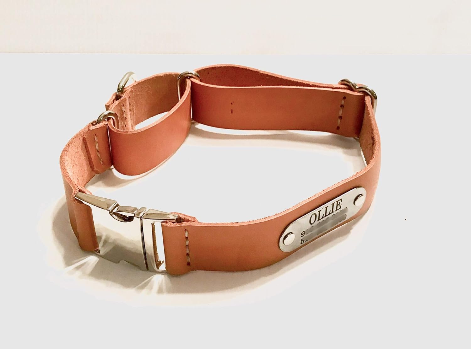 Personalized Quick Release Leather Martingale Dog Collar