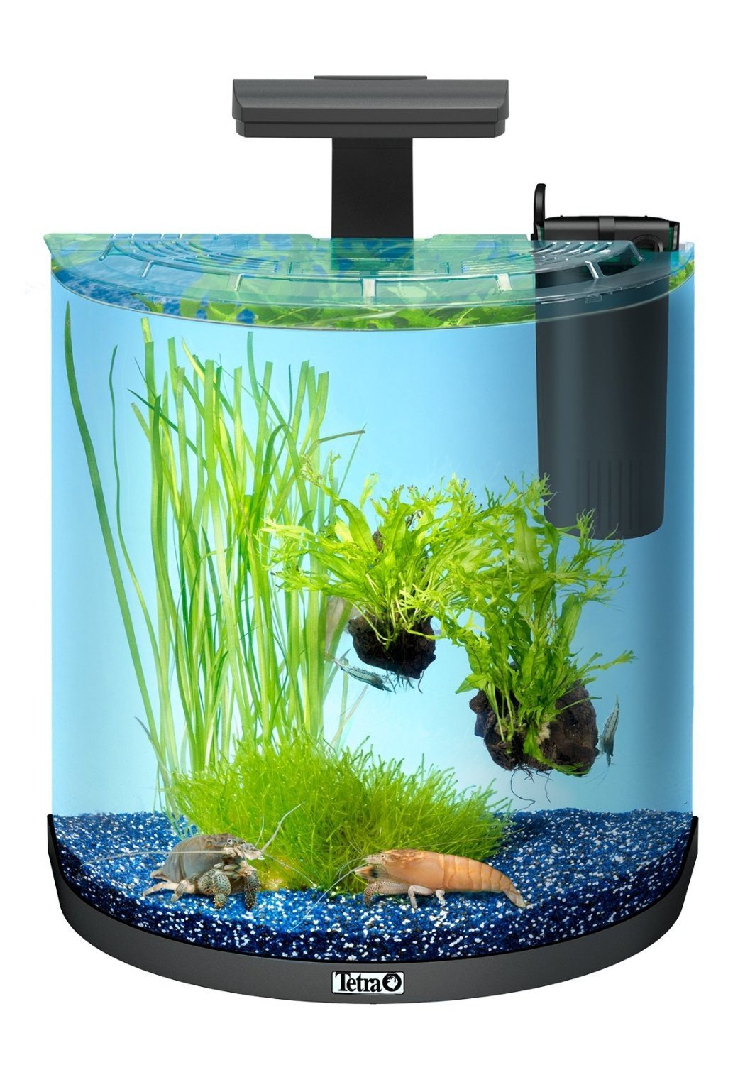 Tetra AquaArt Aquarium Explorer Line, 60 L Amazon.co.uk Pet Supplies