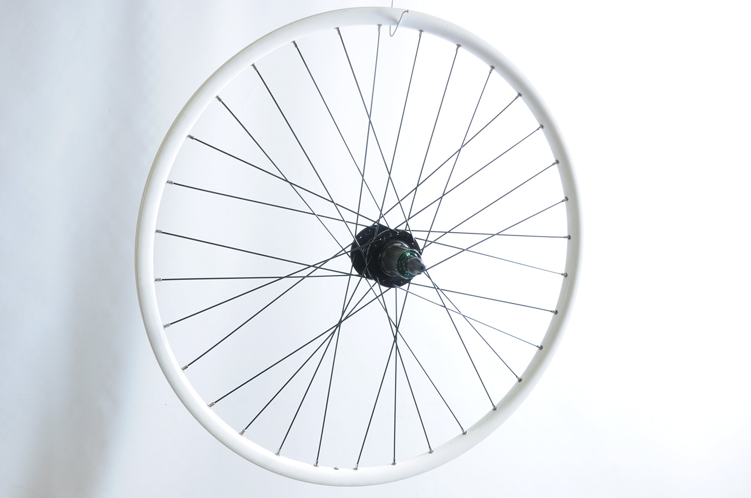 559x19 bike rim