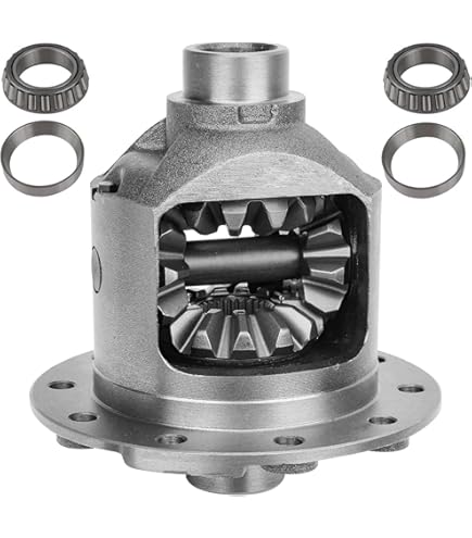 Amazon.com: GM Genuine Parts 23404623 Limited Slip Differential