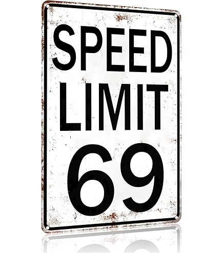 Amazon.com: Road Signs Room Decor Speed Limit 69 Sign Funny Street