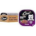 Cesar Filets in Gravy Adult Wet Dog Food, Filet Mignon Flavor, 3.5 oz. (24 Count, Pack of 1)