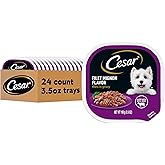 Cesar Filets in Gravy, Adult Wet Dog Food, Filet Mignon Flavor, Wet Food for Dogs, 3.5 oz Trays, 24 Count
