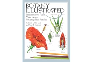 Botany Illustrated: Introduction to Plants, Major Groups, Flowering Plant Families