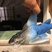 ginormous grow shark