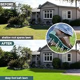 URAQT Lawn Aerator Shoes 26 Nail Spikes Adjustable Straps One Size Fits All view 7