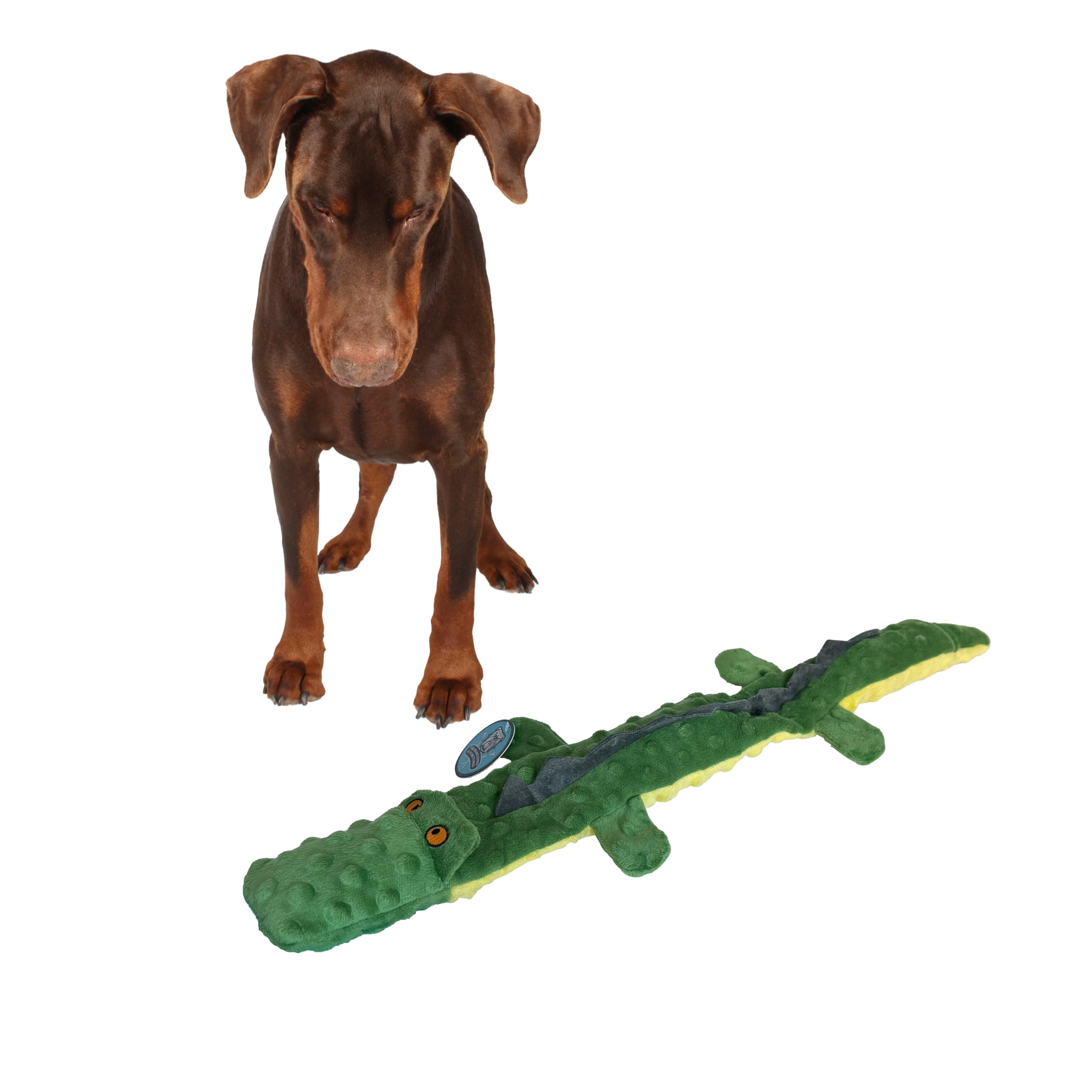 Ethical Pets Skinneeez Extreme 3 Squeaker Crocodile Stuffing Free Dog Toy, 25-Inch
