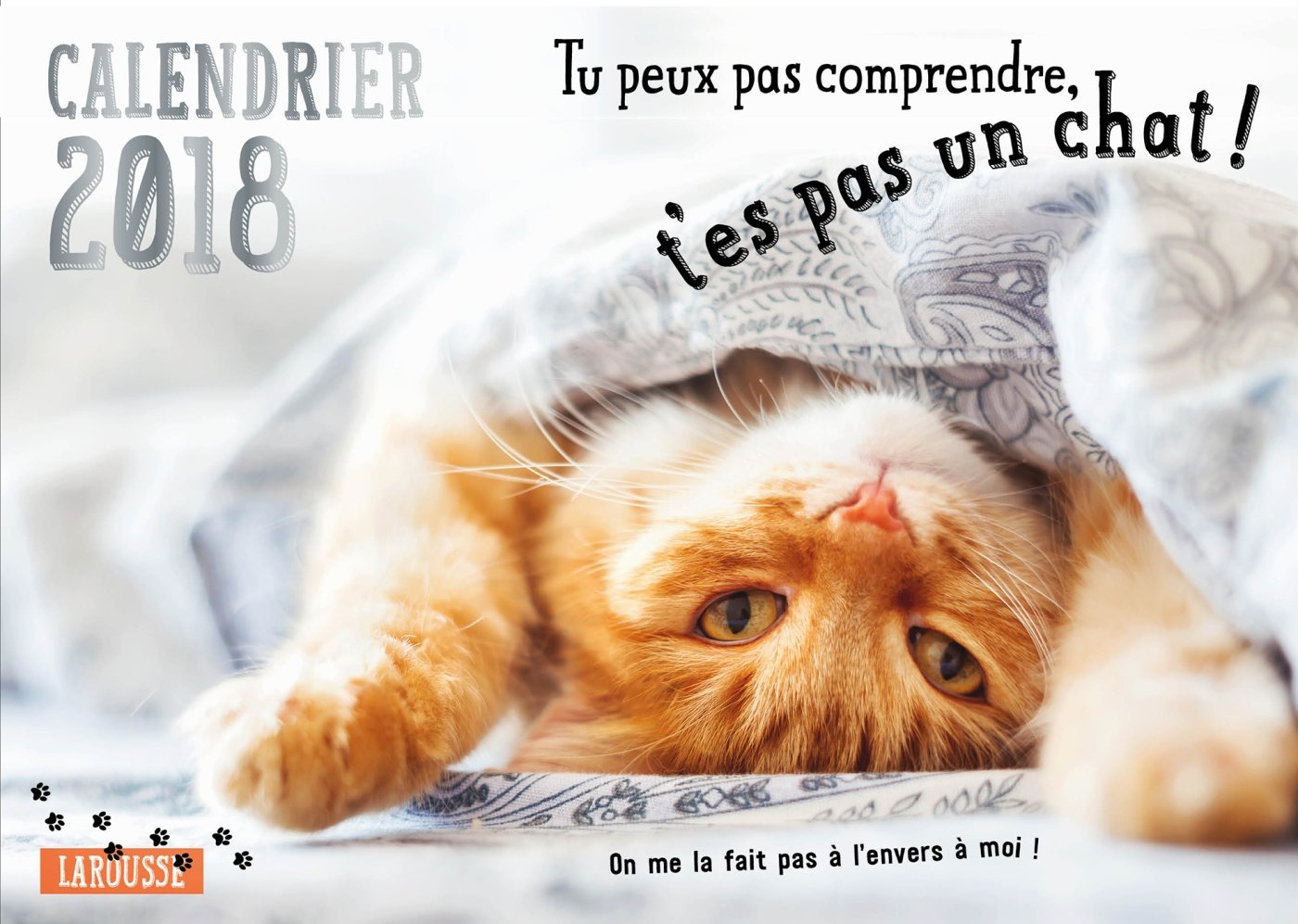 Calendrier 2023 Tu Peux Pas Comprendre T Es Pas Un Chat Calendrier 2018 Tu Peux Pas Comprendre T'es Pas Un Chat: Amazon.co.uk:  Lemoine, Aurélie, Zabée, Alice: 9782035941169: Books