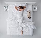 Ultra-Plush Comforter, Hypoallergenic Polyester