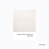 Hemway Mother of Pearl Iridescent Glitter 130g Microfine Shaker view 2