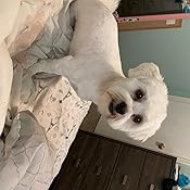 gnc pets medicated antibacterial and antifungal dog spray reviews