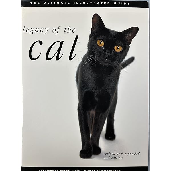 洋書 Luxury for Cats teNeues Luxury for Cats - Patrice Farameh