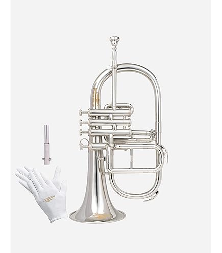 Amazon.com: B&S 3145 Challenger I Intermediate Bb Flugelhorn