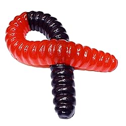 The Gummy Bear Guy | World's Largest Gummy Worm