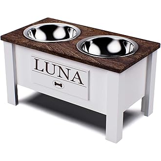 personalized dog feeding station