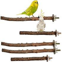 Wooden Parrot Stand, Wooden Bird Perch, Wooden Bird Perches | Fruugo CH