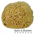 Sea Wool Sponge 6-7" (X-Large) by Bath & Shower Express ® Natural Renewable Resource!