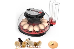 HERTMUN Incubators for Hatching Eggs, 12 Egg Incubator with Automatic Egg Turning and Humidity Control, 360° View Incubadora De Huevos De Gallina, Egg Candler, Incubator for Chicken Eggs, Ducks, Goose, Quail