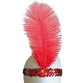 GYBZZR Women's Sequins Feathers Headband Headpiece 2 Pieces 1920s Flapper Carnival Party Fashion Headress For Women